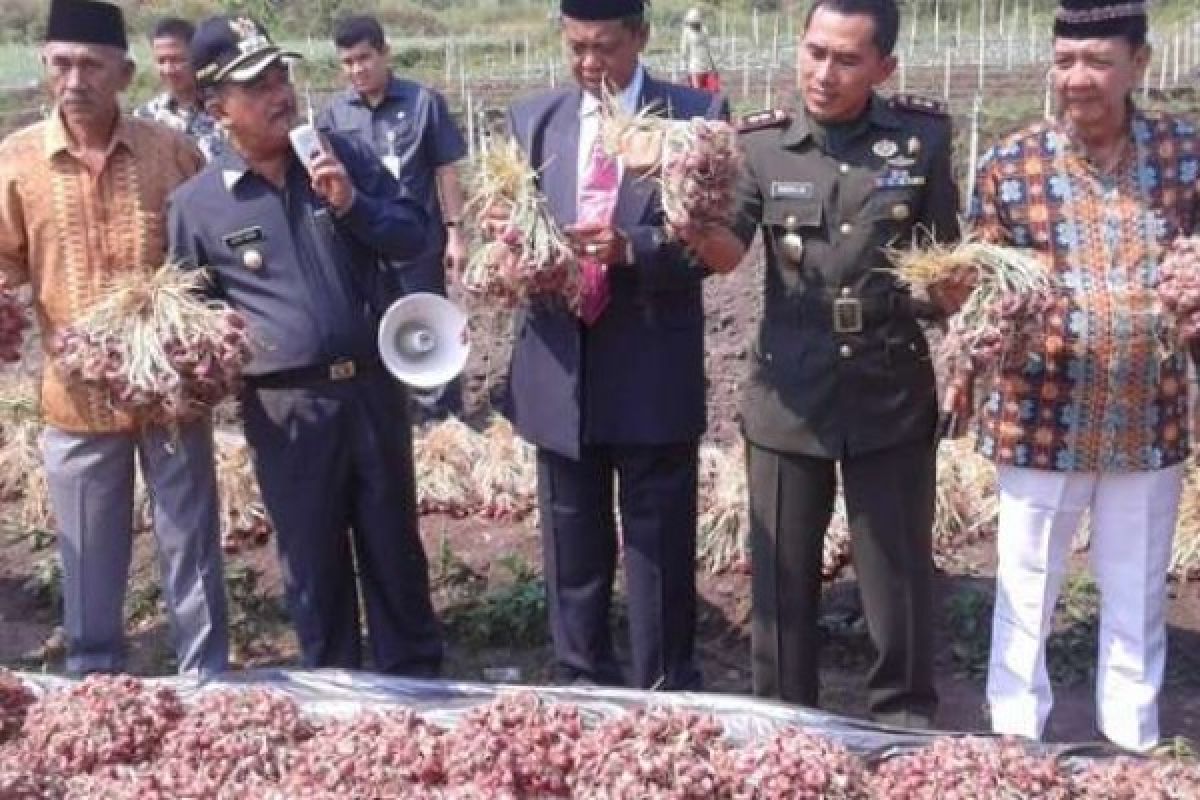 Jefry Noer: Siapa Bilang Bawang Tak Subur Di Lahan Gambut