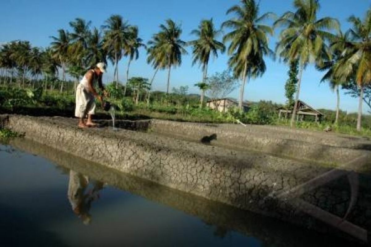 Ikan Uceng Dijadikan Ikon Temanggung