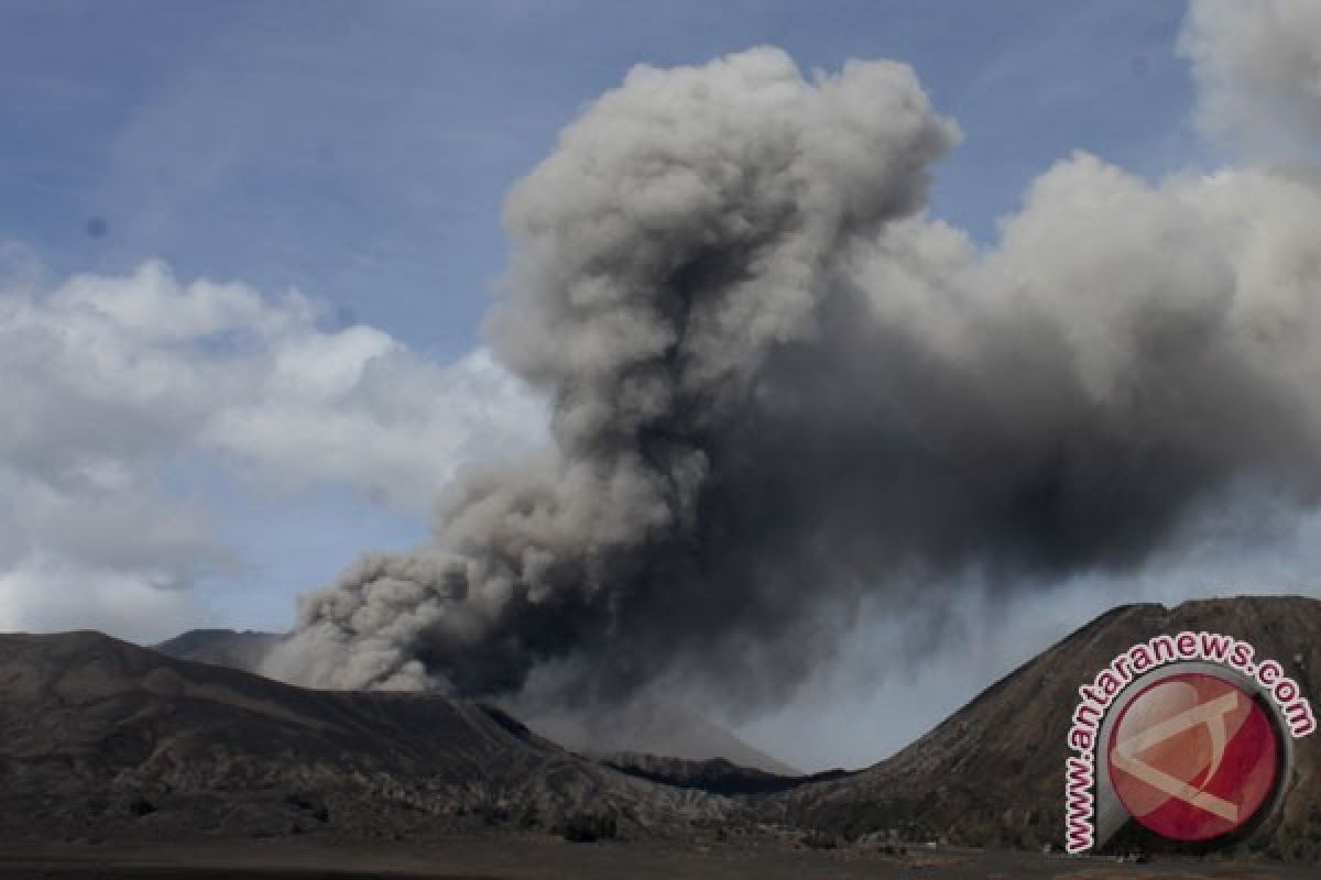 BNPB Antisipasi Meningkatnya Aktivitas Gunung Bromo