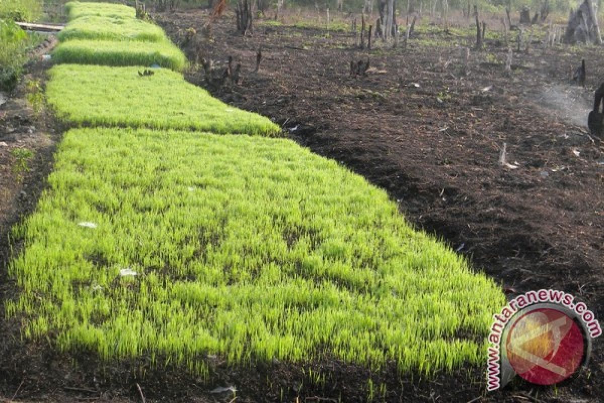 Diimbau Percayakan Pemda Atasi Gafatar Kaltara