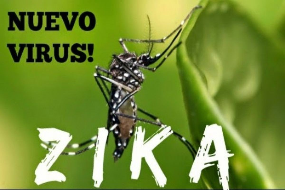 Zika Ditemukan di Air Liur dan Urin