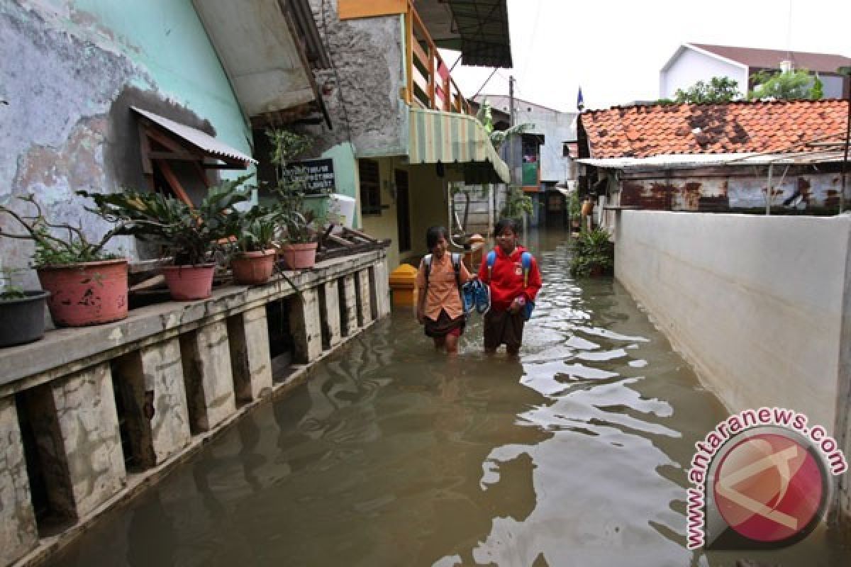 Hundreds of Homes Flooded in Pekalongan