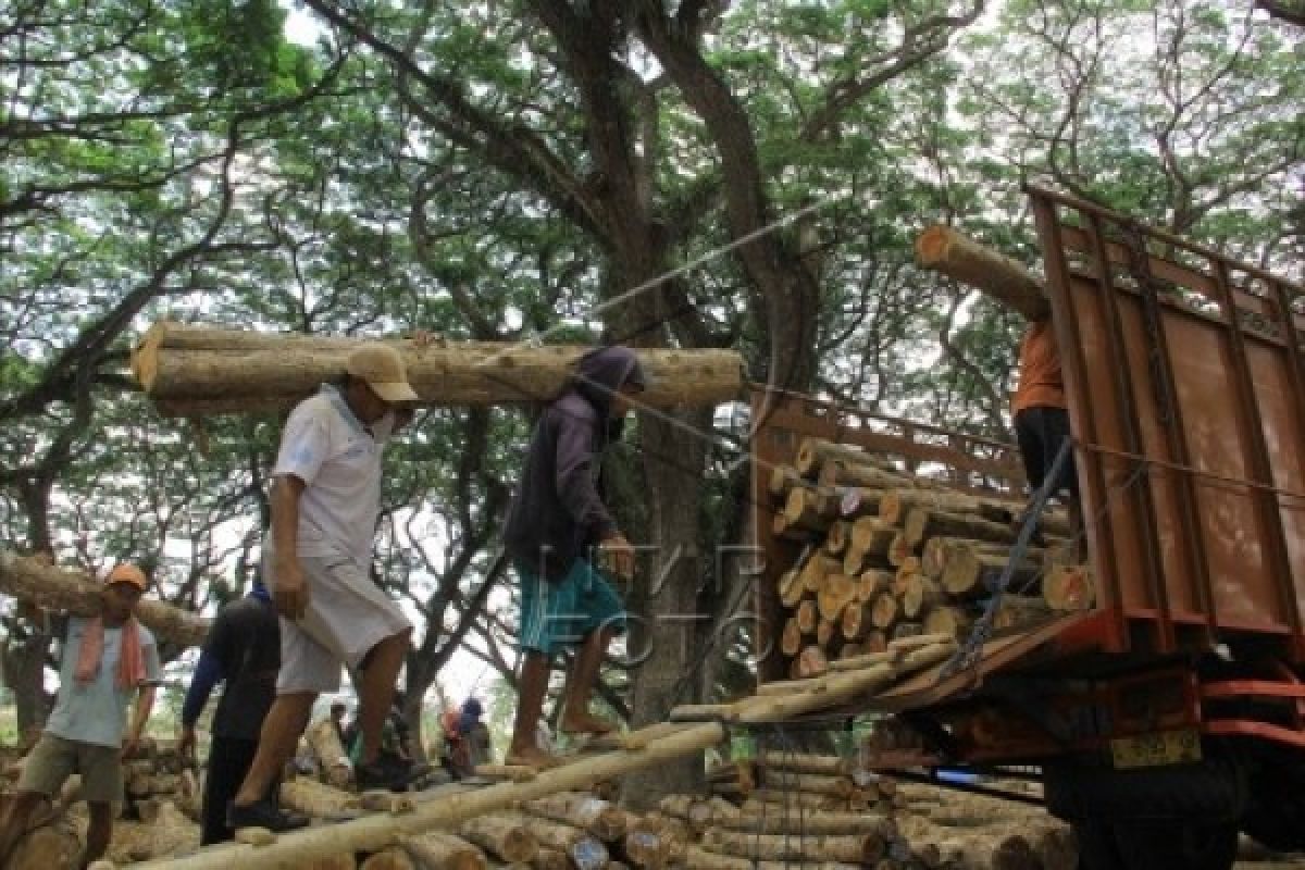 Asmindo Klateng Wajibkan SVLK IRT Sektor Hulu