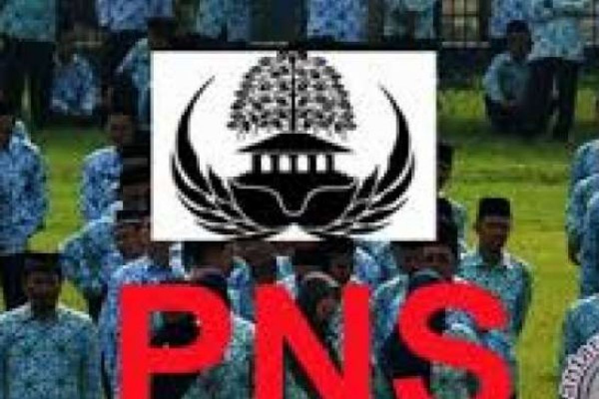 Mau daftar jadi CPNS Pekanbaru, inilah jadwal pembukaanya