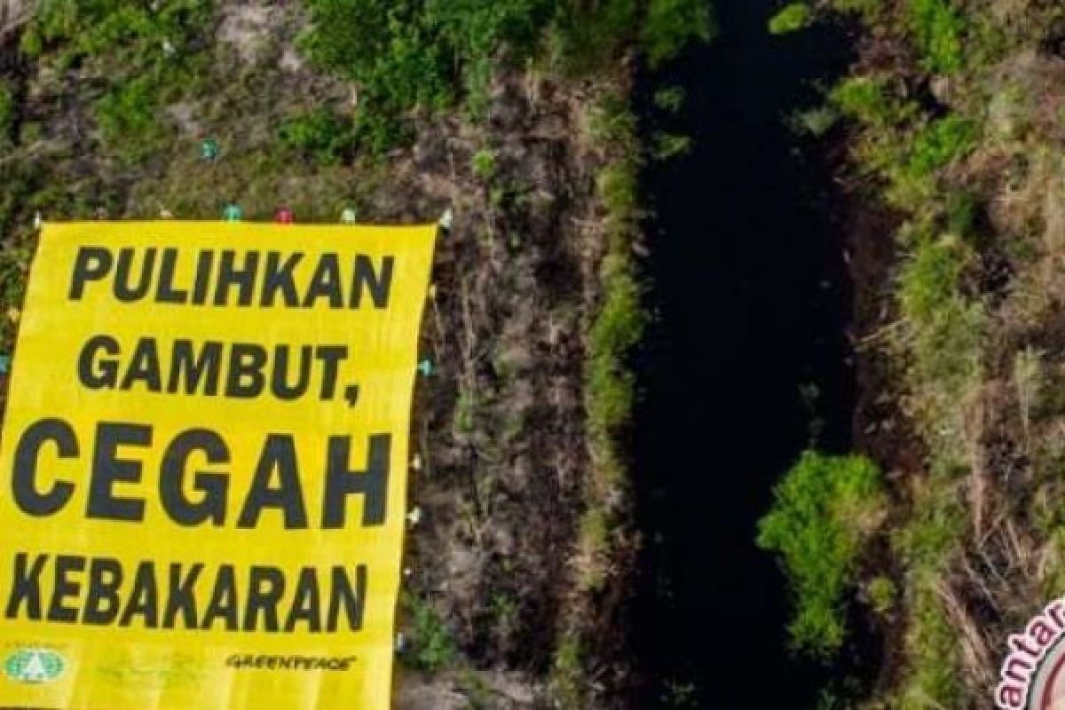 Pulihkan Lahan Rusak, Pemkab Bengkalis Dukung Program Restorasi Gambut