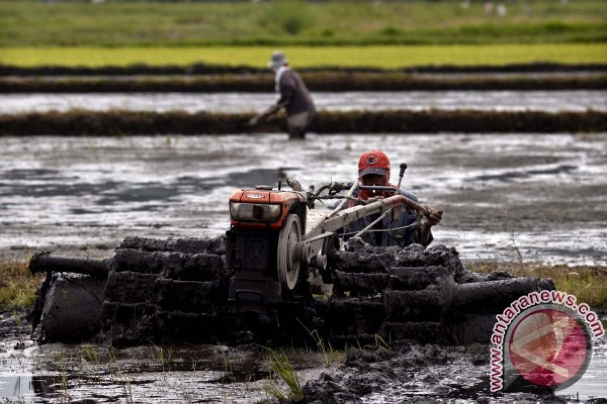 Minahasa Tenggara cetak ratusan hektare sawah