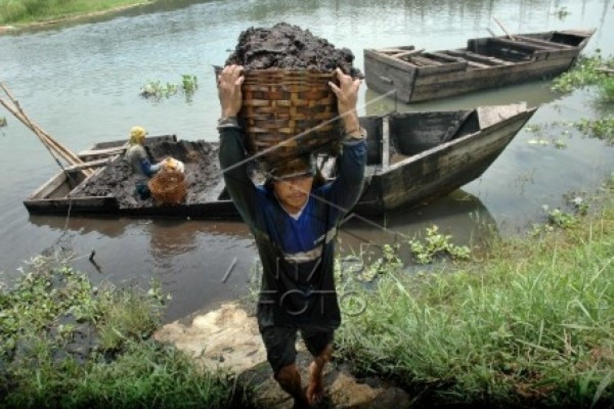 Penambang Tinggalkan Eksplorasi Gambut Rawa Pening