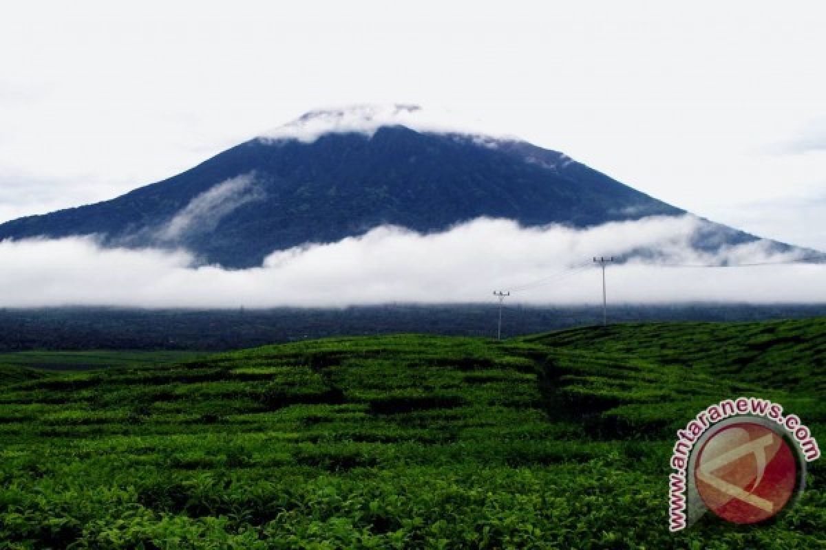 Gunung Kerinci Semburkan Abu Vulkanik 600 Meter