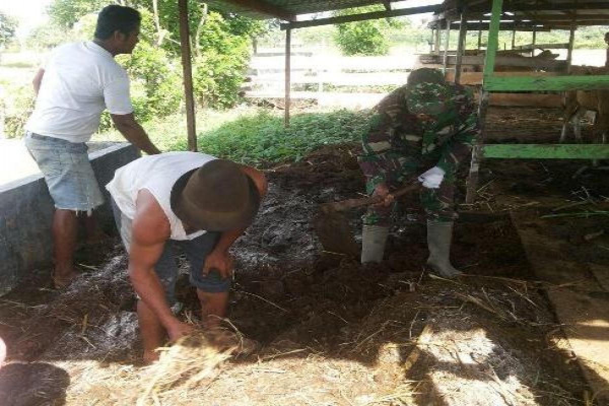 SMKN 4 Jayapura produksi pupuk kompos 