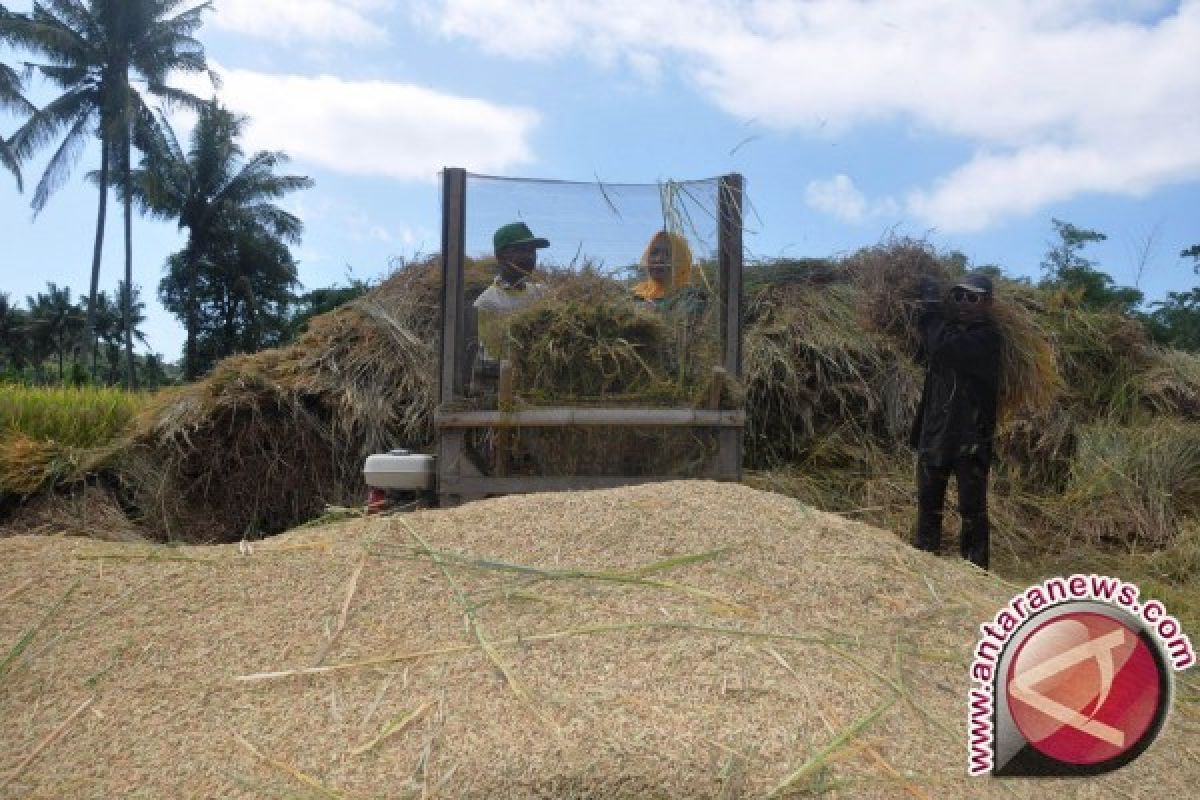 BPS NTB: penurunan harga beras sumbang deflasi 