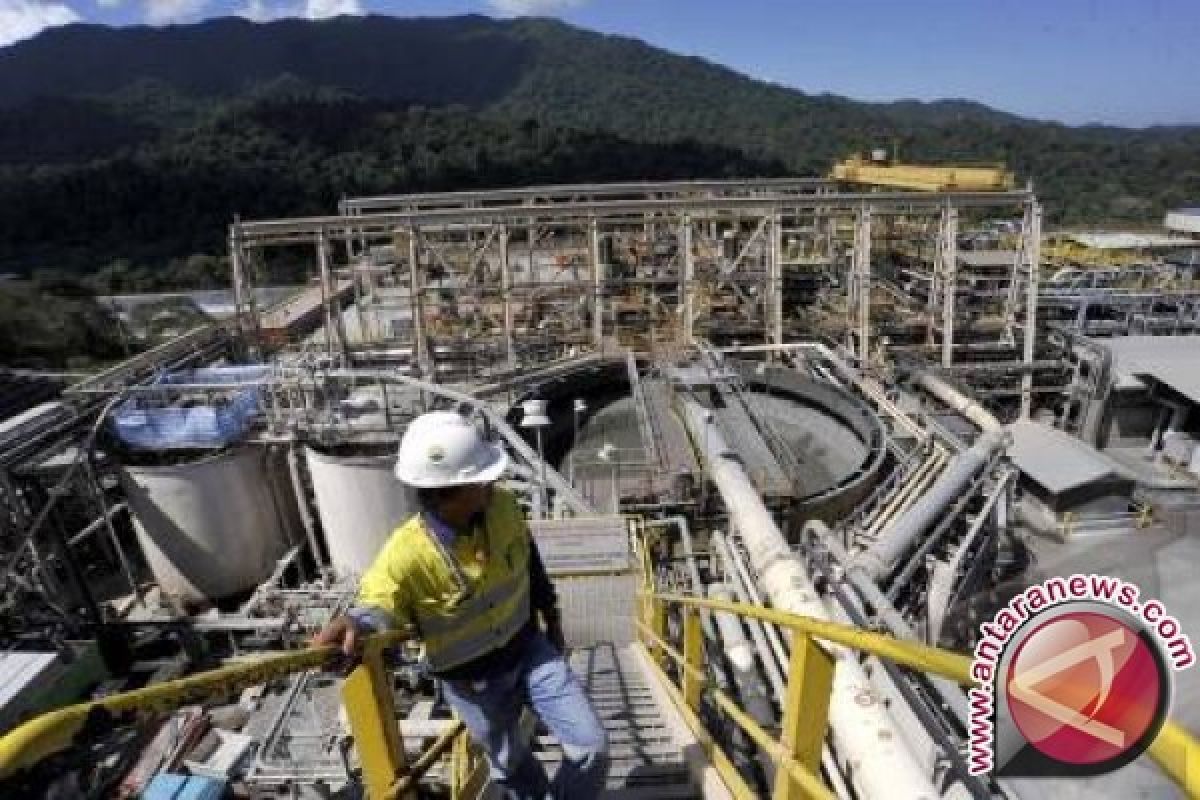 Kurtubi Dukung Saham Newmont Dijual