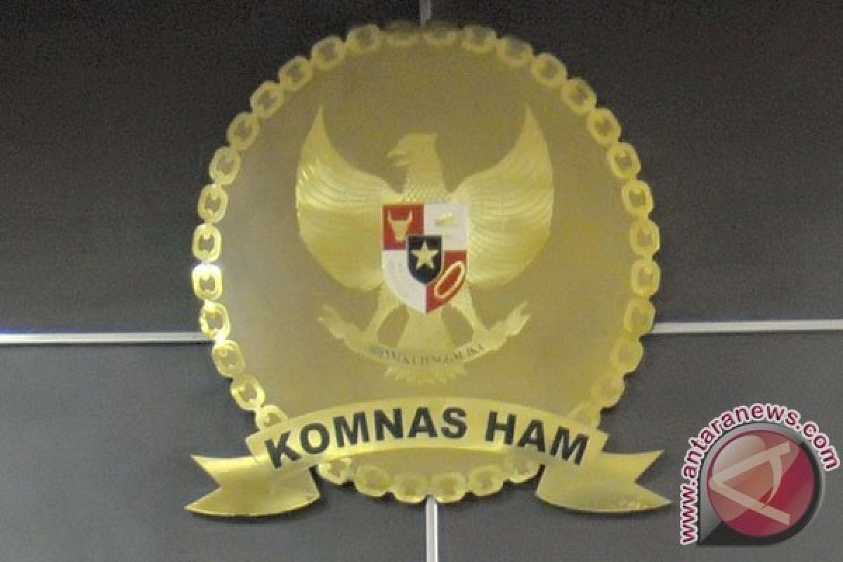 Komnas HAM: Perppu Kebiri tidak Manusiawi, karena Turunkan Derajat Manusia