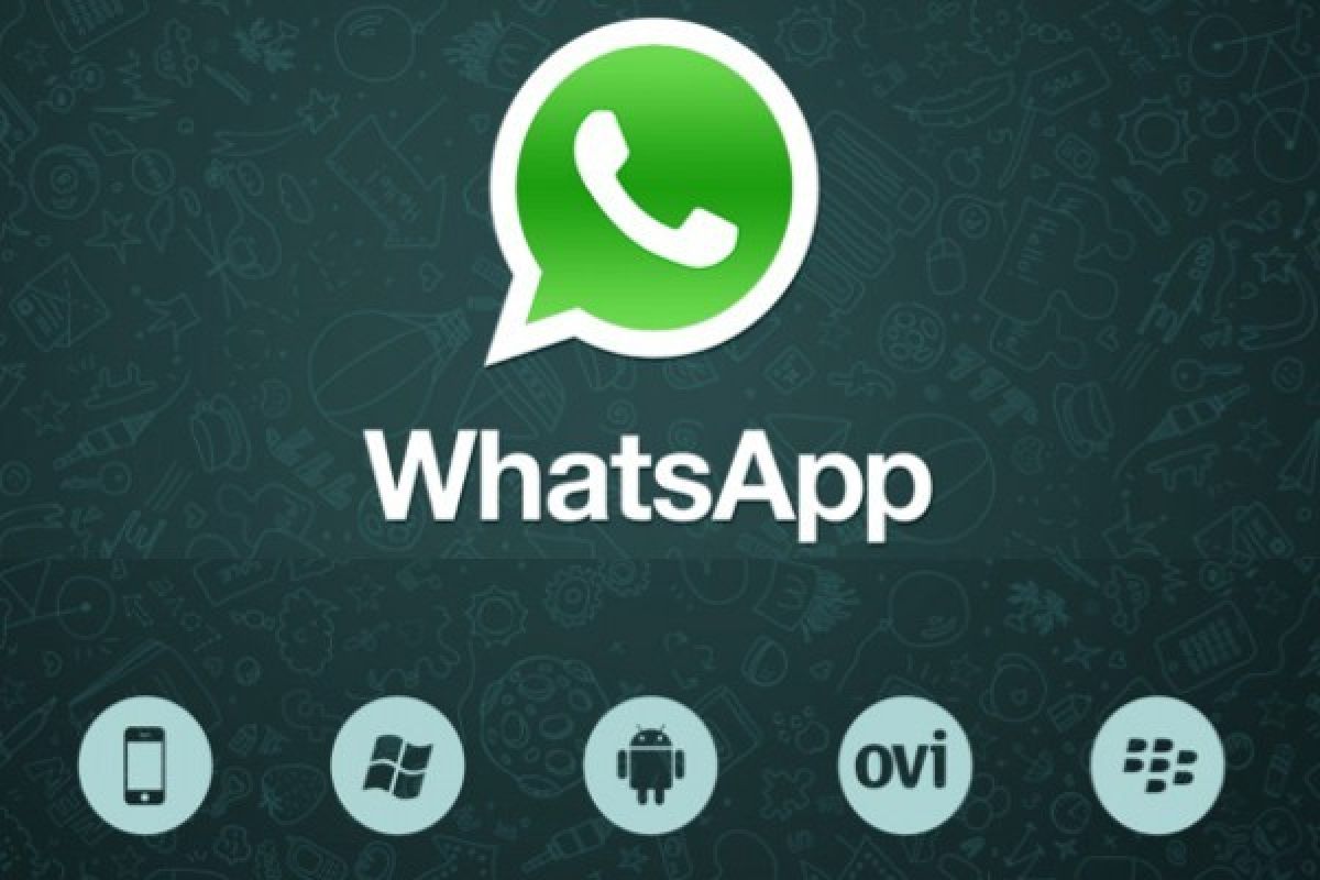 WhatsApp Uji Coba Fitur Quick Quotes