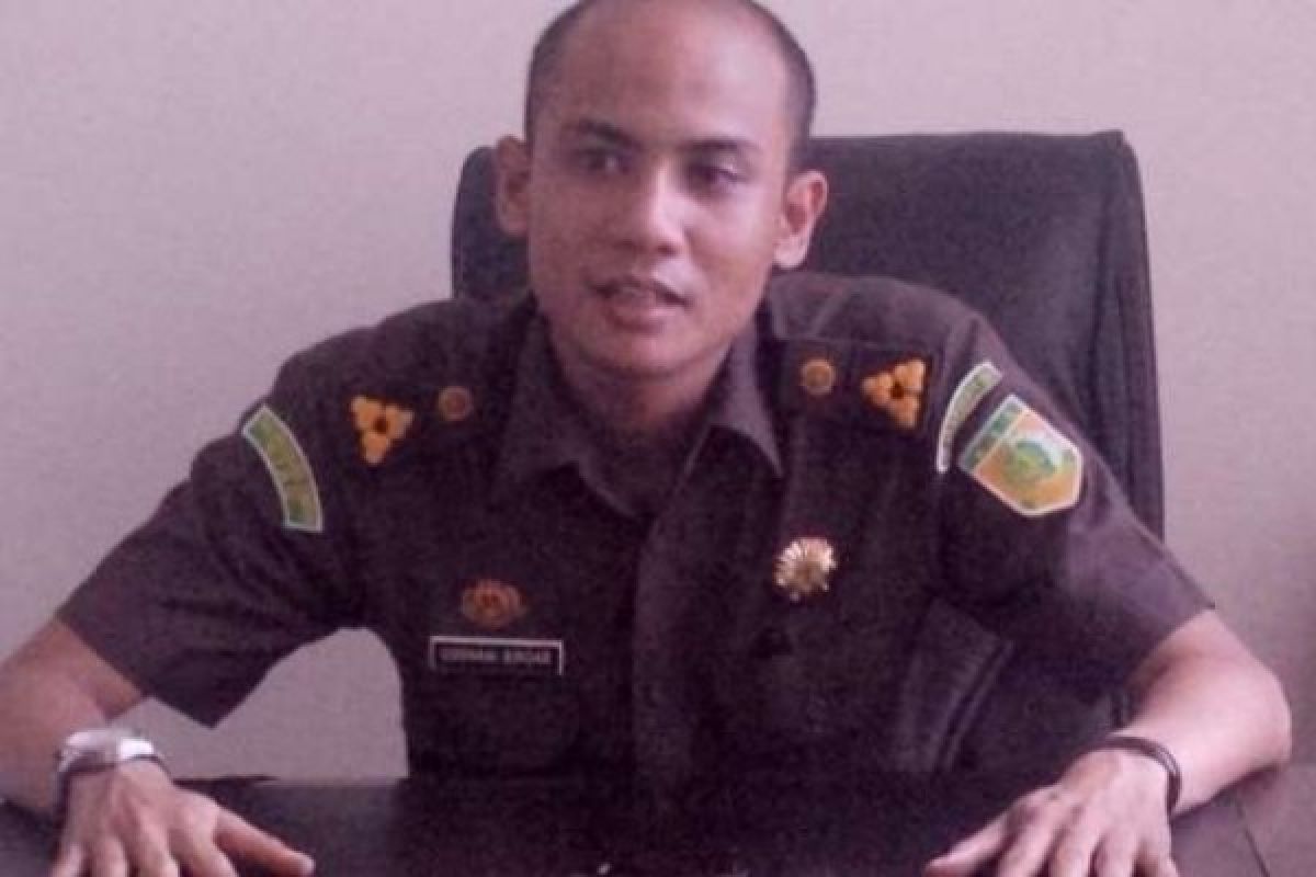 Berkas Tersangka Kurir Ganja 16,5 Kg Tahap Penyidikan Kejari Rohil