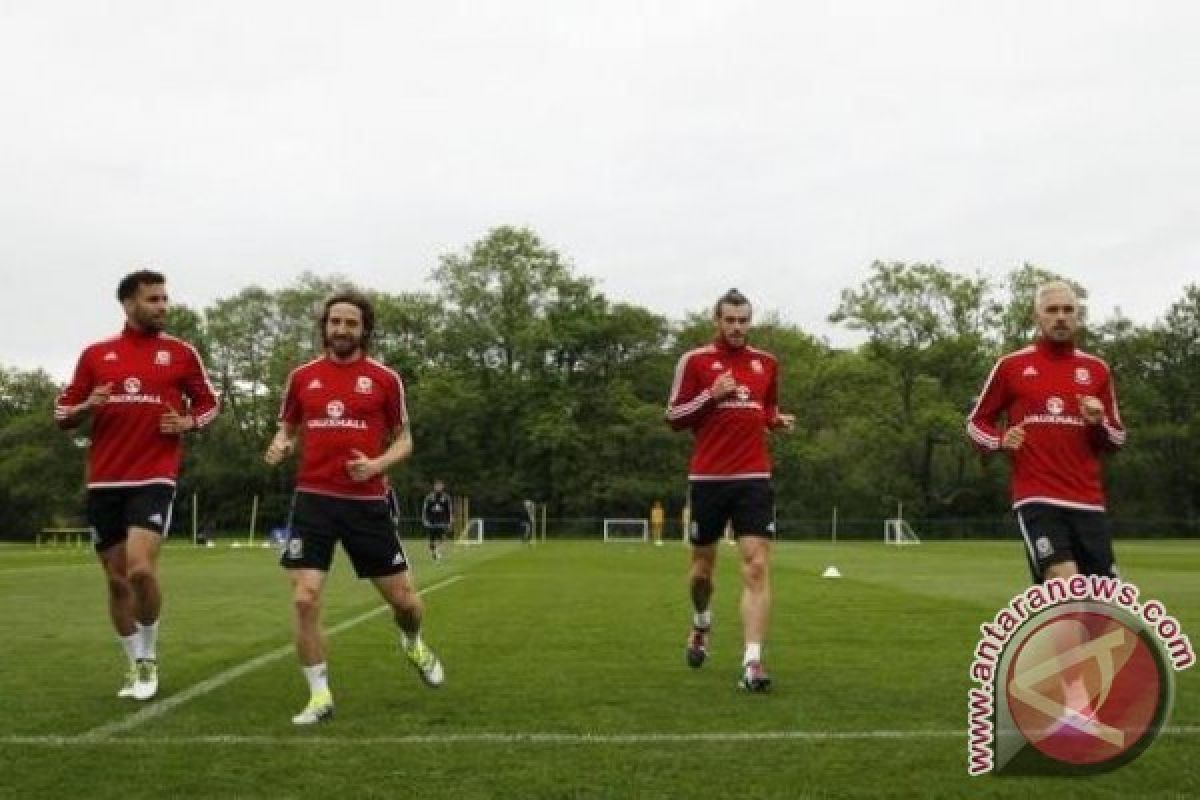 Joe Allen:  Tak Sangka Wales Sampai Semifinal Euro 2016