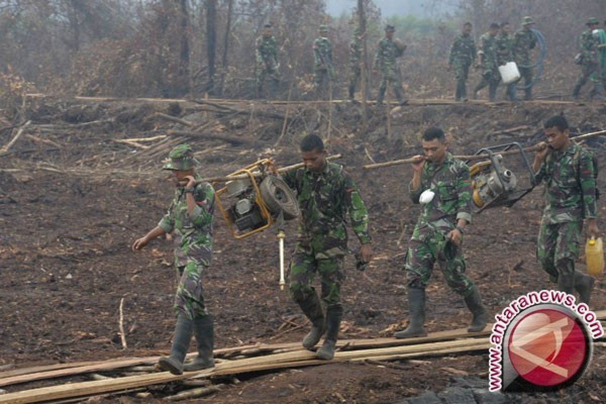 Tahun Ini Ditarget Restorasi 400 Ribu Ha Lahan Gambut di 7 Provinsi