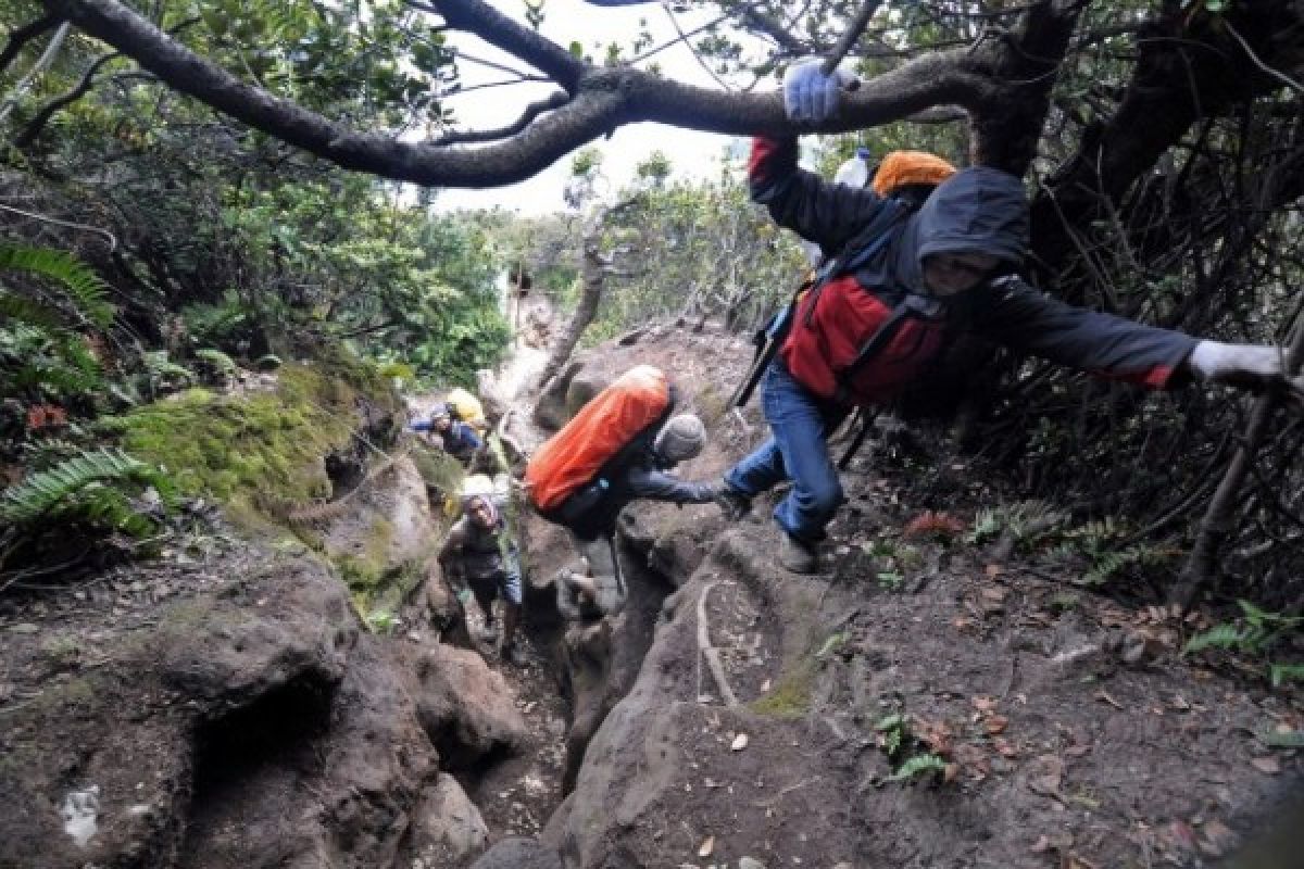 Dua pendaki Tersesat di Gunung Slamet