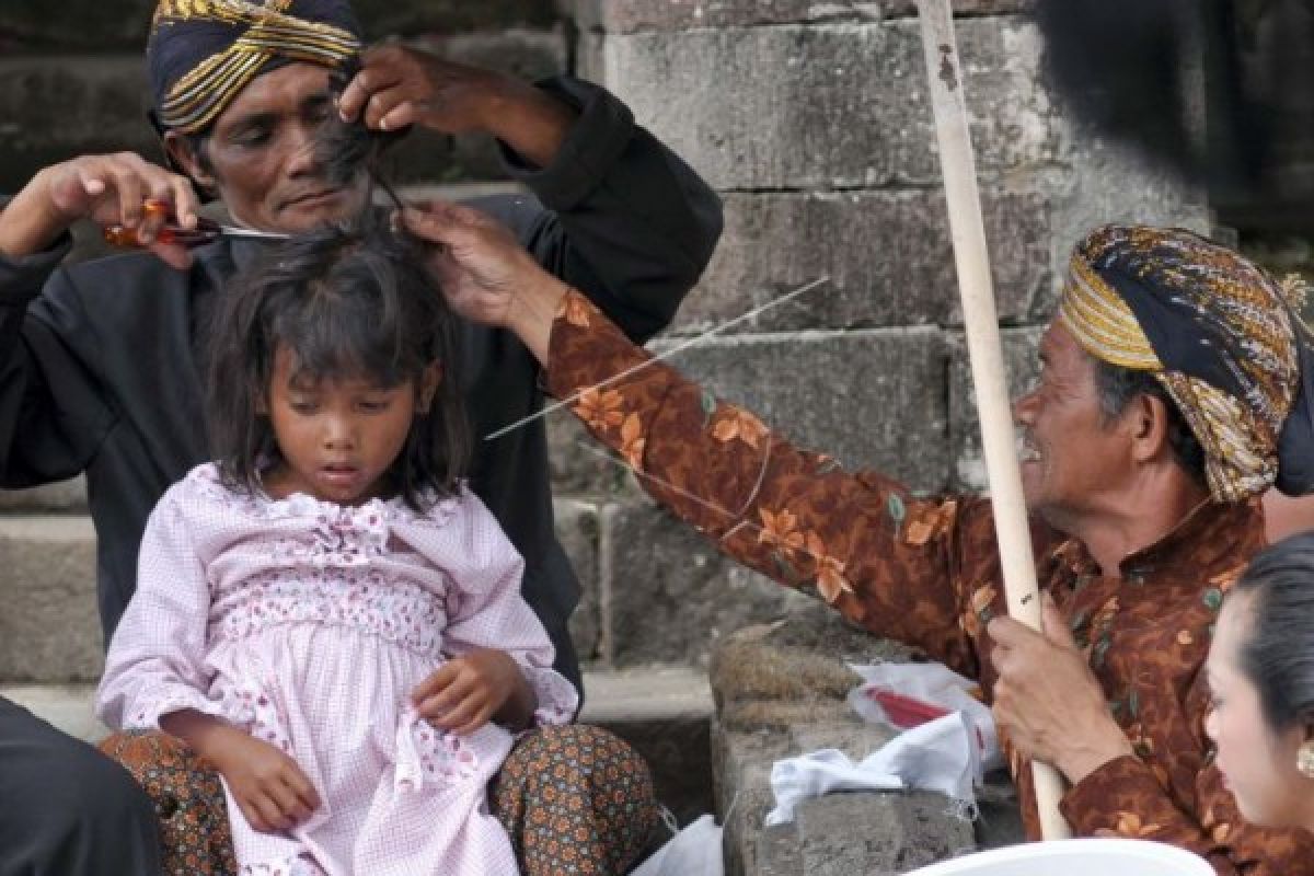 Anak berambut gimbal jalani ruwatan di Dieng Culture Festival