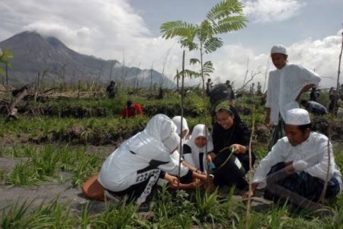 Warga Merapi Bertekad Lindungi Hutan melalui Agroforestri