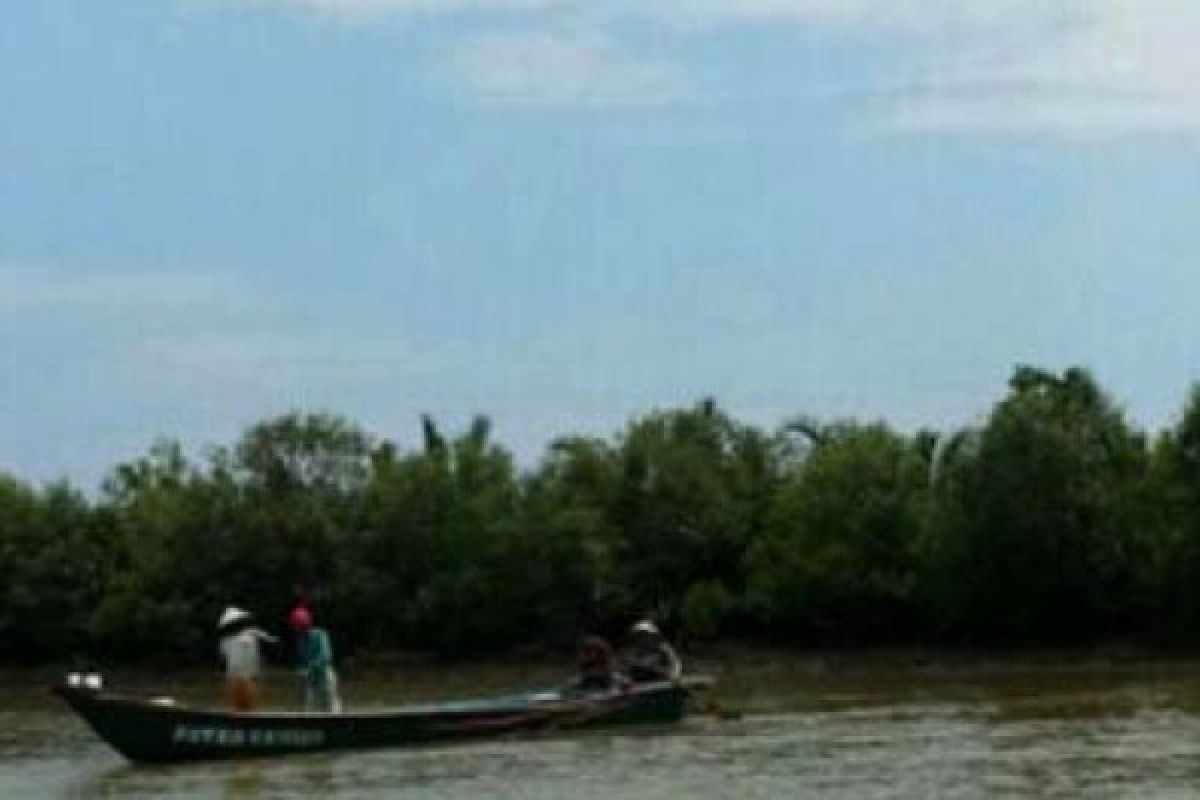 Cilacap Lakukan Upaya Pelestarian Mangrove Segara Anakan