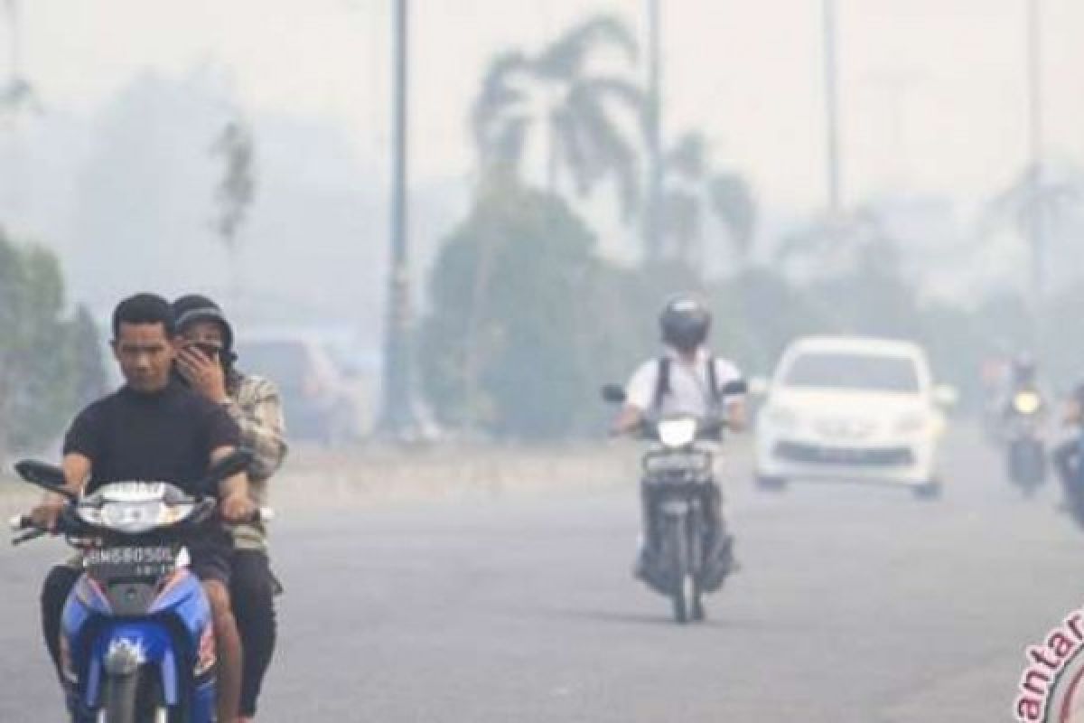 Sempat Diguyur hujan, Kabut Asap Pekanbaru Berkurang