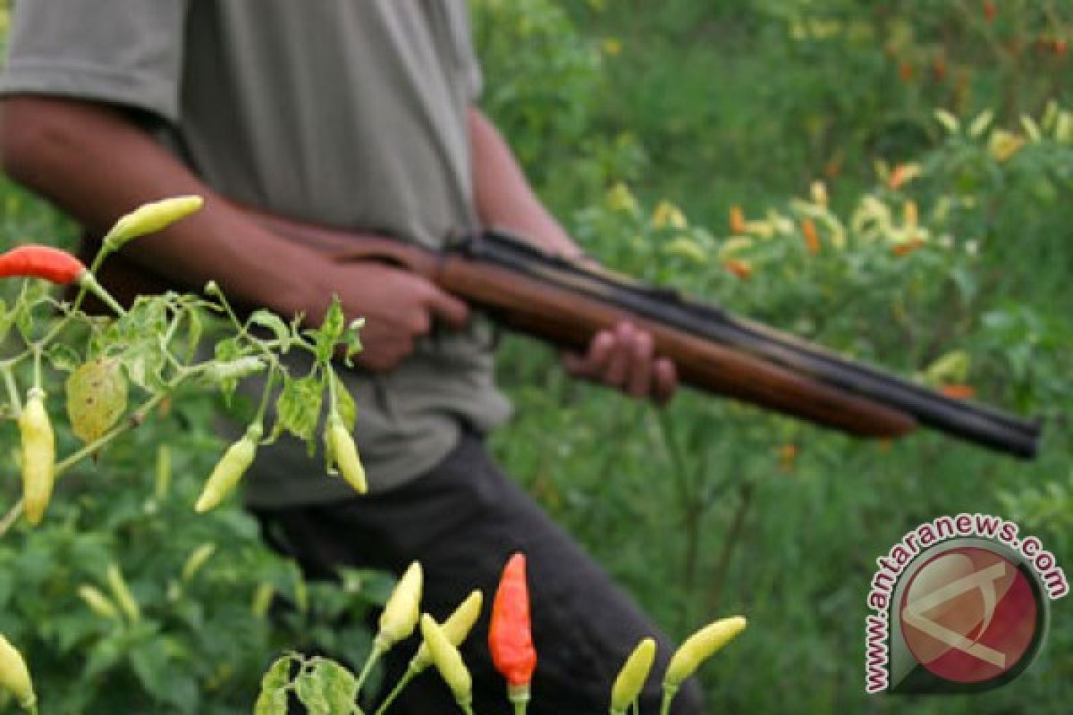 Petani di Rohul tewas tertembak senapan angin sendiri