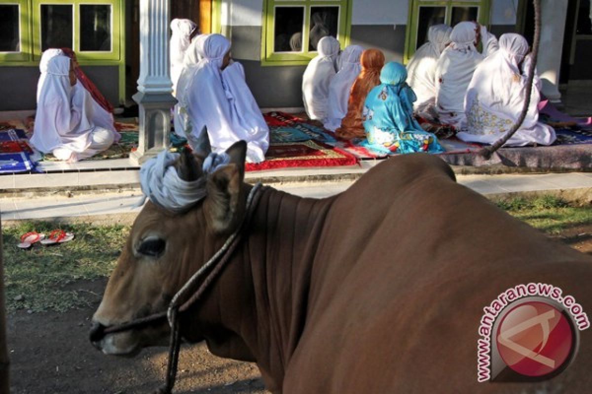 Islam Aboge Salat Idul Adha pada 14 September