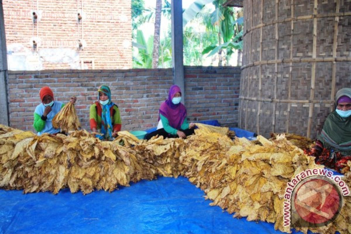 Kemenperin Harapkan Industri Rokok Bermitra Dengan Petani 