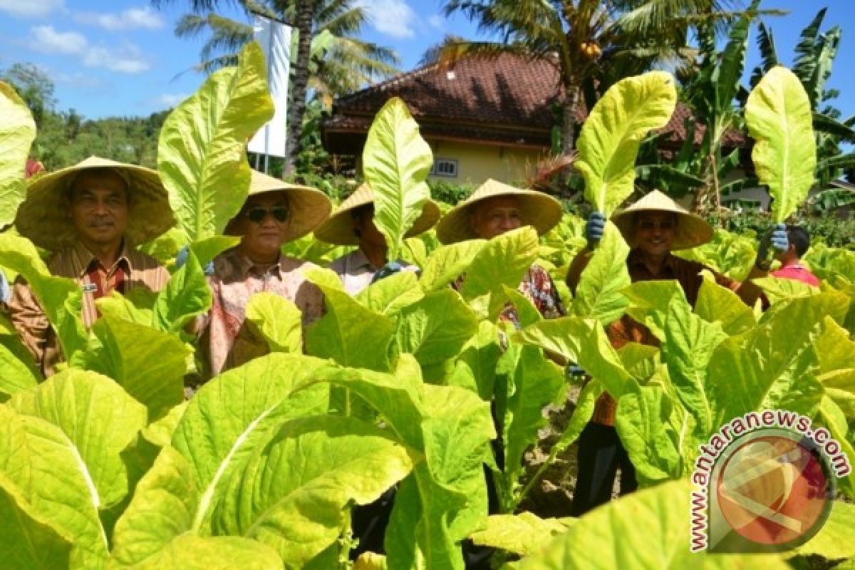 Kementan Minta Bentoel dan Petani Saling Menjaga Kepercayaan