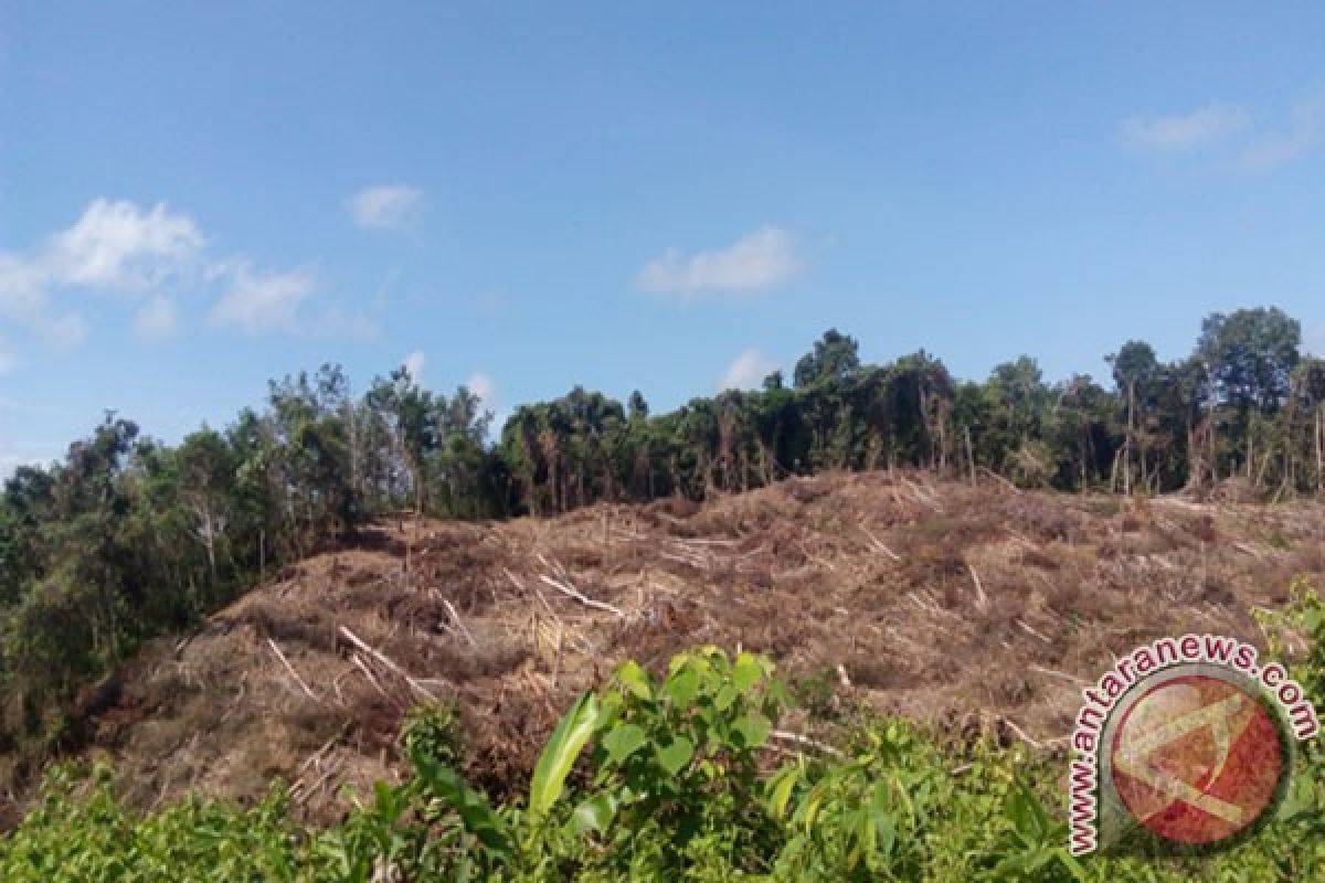 Tahura Lapak Jaru Jadi Hutan Edukasi di Gumas 