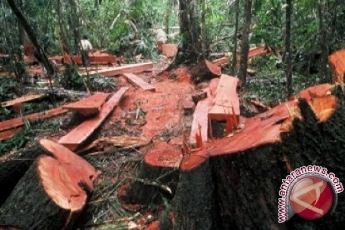 Polres Dompu Amankan Truk Pengangkut Kayu Ilegal