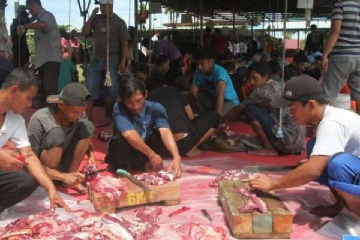 Semangat Berbagi Berkah untuk Masyarakat, RAPP Serahkan Ratusan Sapi dan Kambing