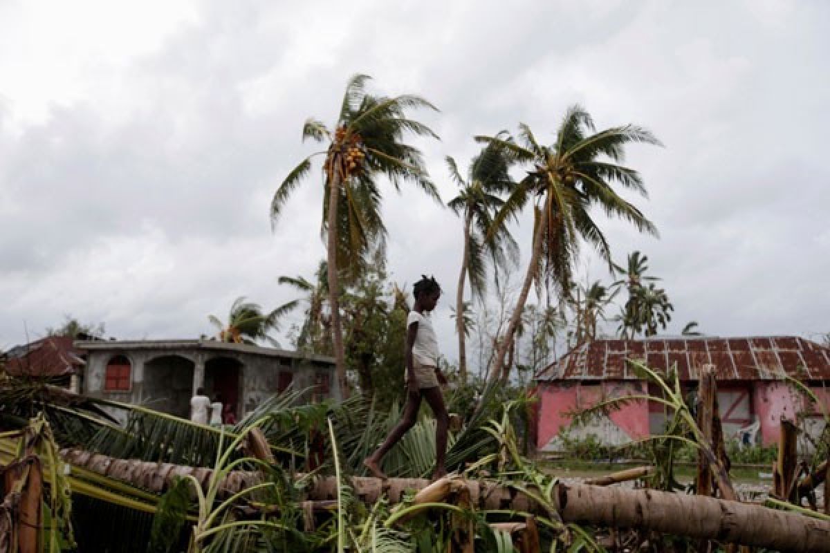 Badai Matthew Tewaskan 261 Orang di Haiti