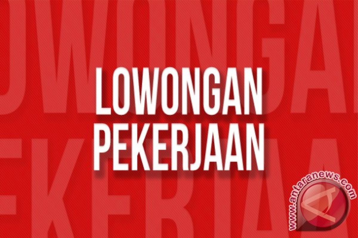 Tips mencari lowongan kerja terbaru