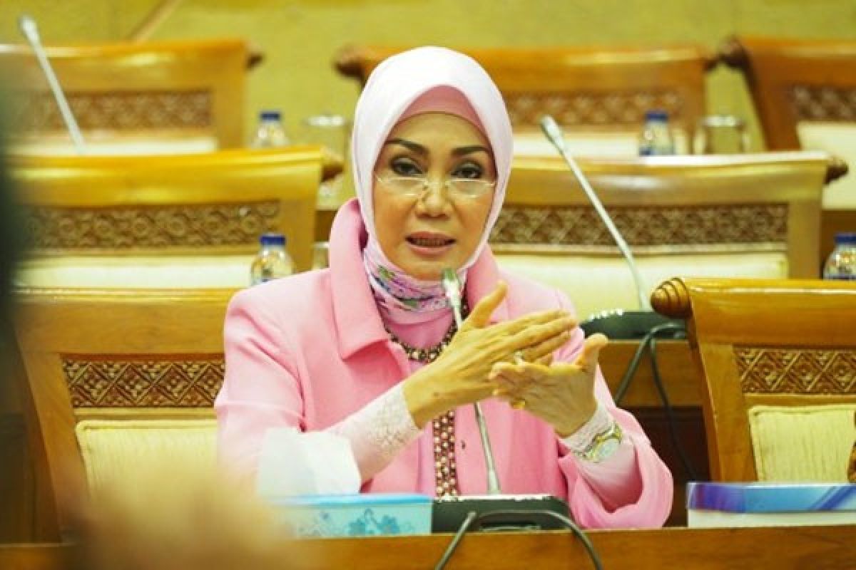 Caleg artis di masa tenang,  lebih memilih kesibukan  keperagaan busana