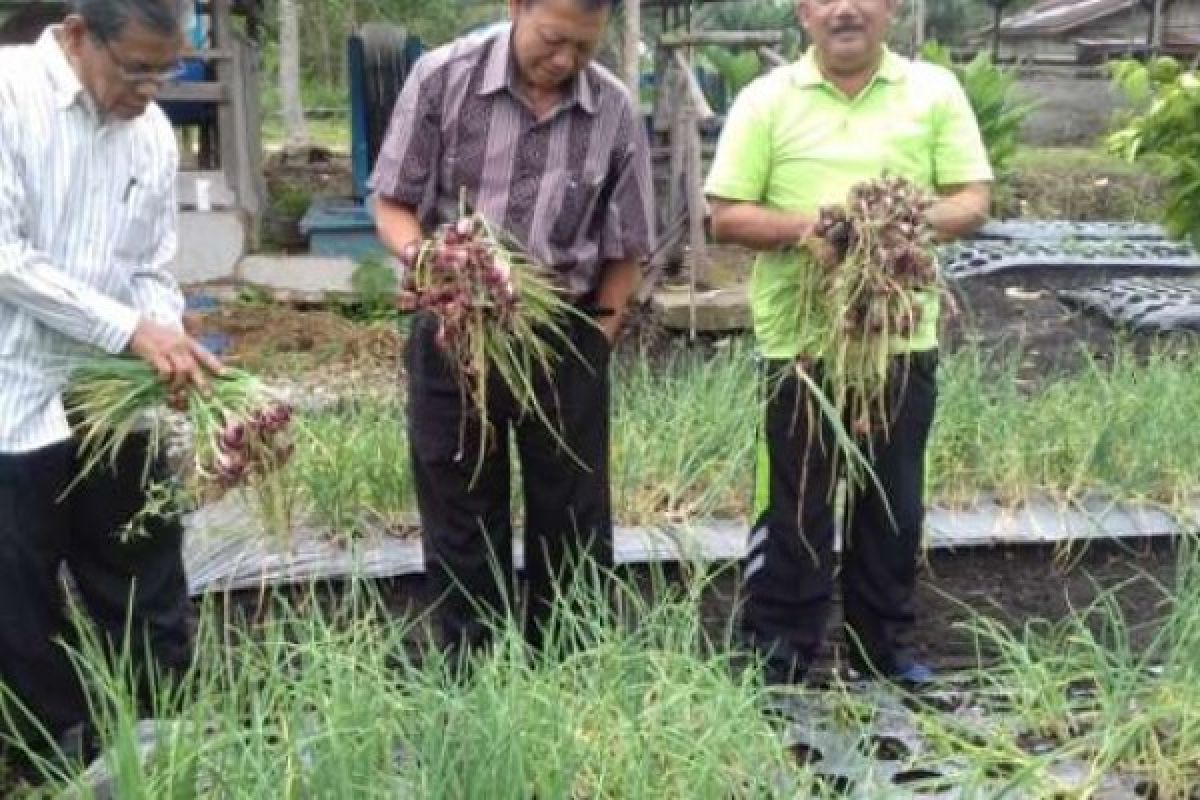 Basri Rasyid: Pelatihan Jahit Dan RTMPE Upaya Kreatif Bagi Masyaarakat