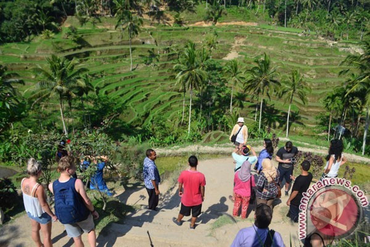 Batang Dukung Pengembangan "Smart Village" di Gringsing