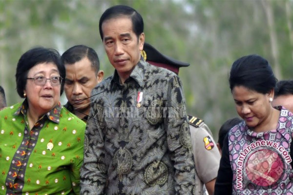 Presiden Jokowi Perintahkan Kalteng Jadi Lumbung Padi Organik 