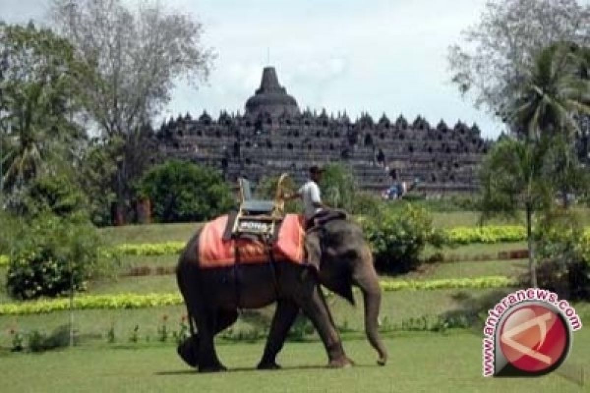 Pengunjung Perdana Borobudur 2017 Diarak Naik Gajah