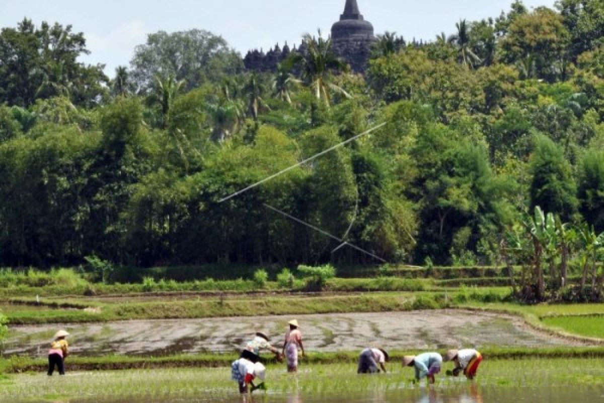 Dukung Kepariwisataan, Balai Ekonomi Desa Borobudur Terus Digerakkan