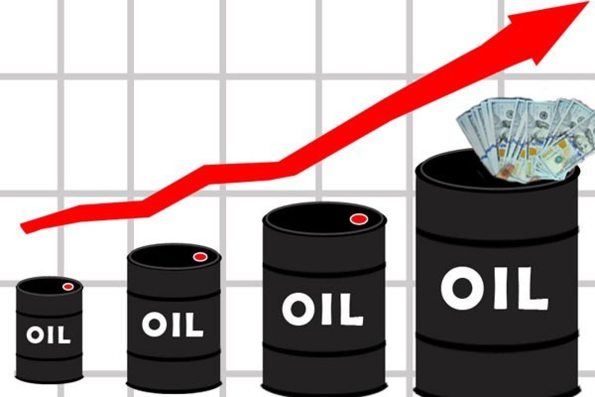 Harga Minyak Naik karena OPEC Mulai Kurangi Produksi