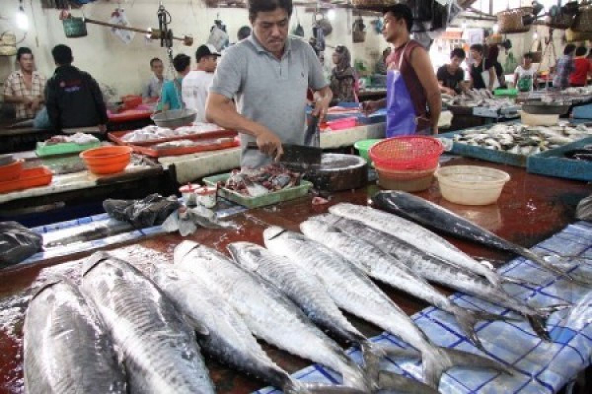 Nelayan Karimunjawa Butuh "Cold Storage"