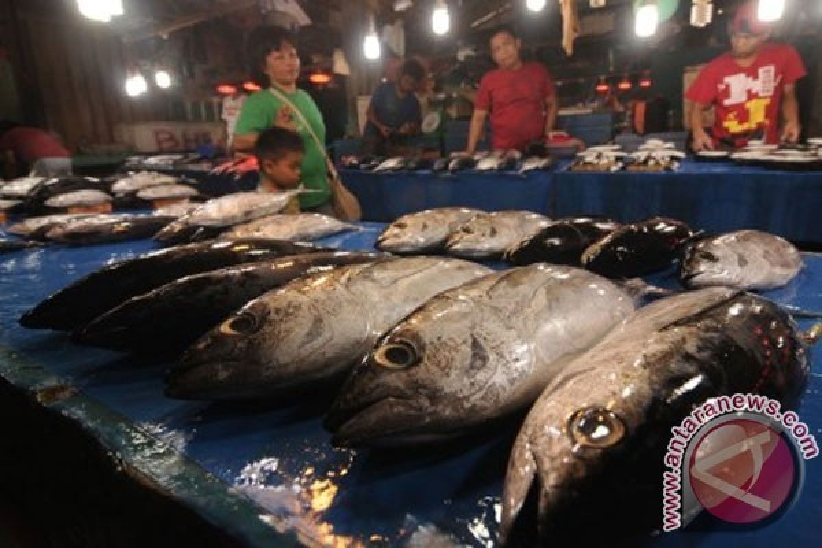  Baru 16 Pedagang Ikan Pasar Rejomulyo Ambil Undian Lapak