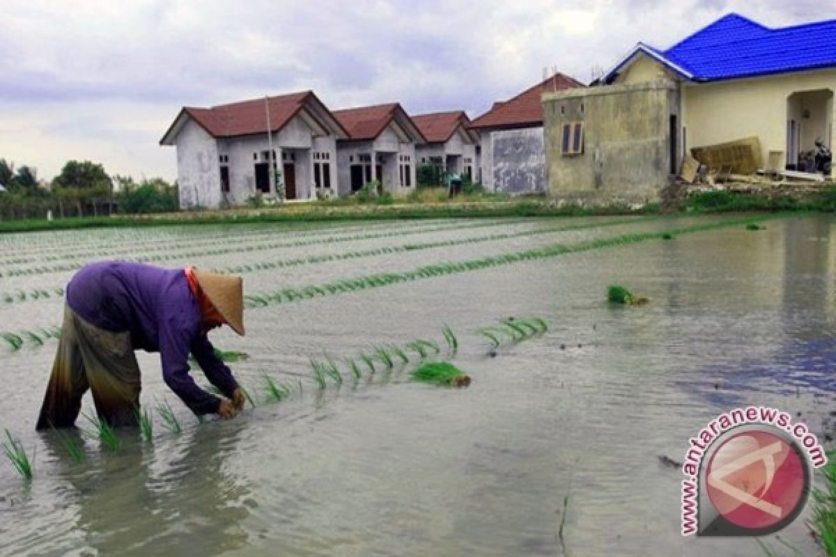 Presiden Ajak Anak Muda Turun Ke Sawah