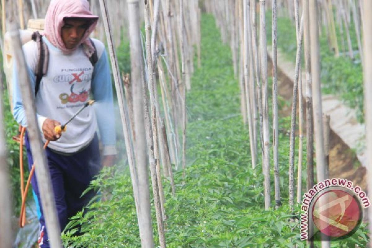 Petrokimia Serahkan 200 Kantong Benih "Petro Chili