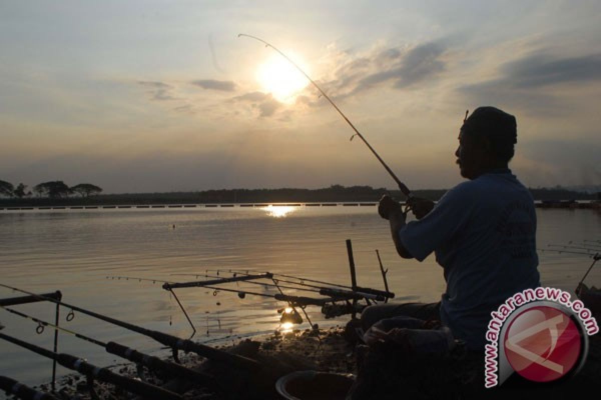 Untuk pertama kalinya ada pasien tertusuk ikan cenro di RS Wahidin