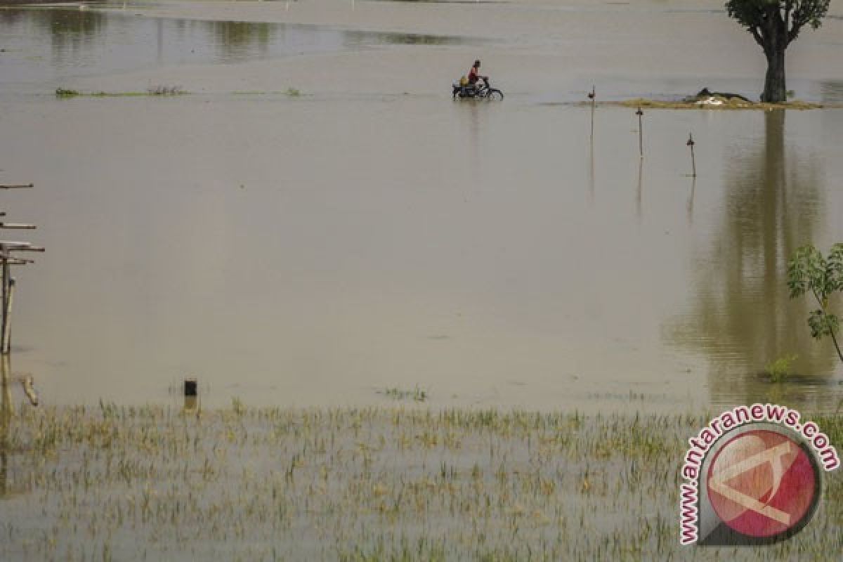 Ketinggian Air Bengawan Solo di Lamongan Siaga I , Daerah Hilir diminta Waspada