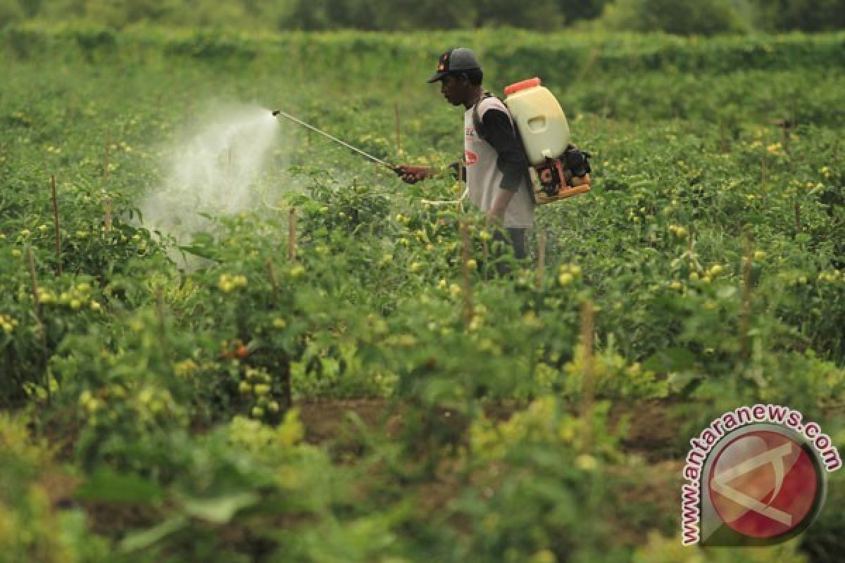 Ditemukan Ulat Perusak Tanaman yang sedang Menyebar Cepat di Afrika