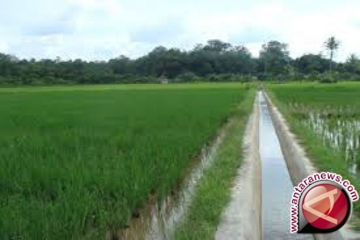 Pompa air efektif bantu petani sawah di Bombana