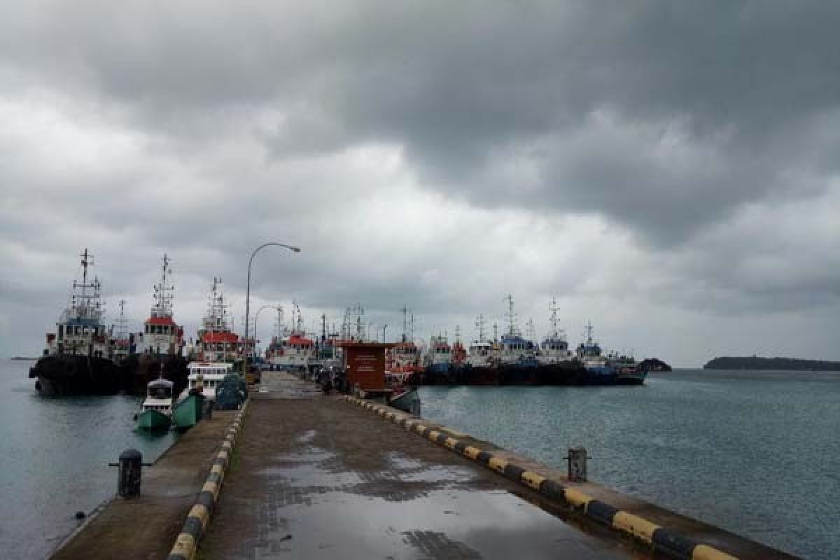 LSM: Kapal Tongkang Rusak Terumbu Karang Karimunjawa